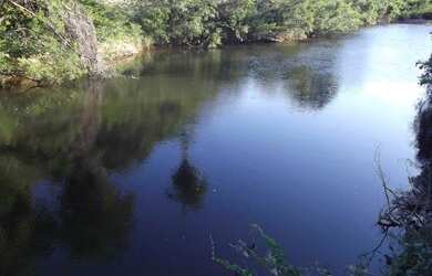 Imagem: A fazenda está localizado em Jaboticatubas, MG à venda por