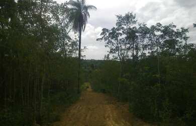 Imagem: A fazenda está localizado em Jaboticatubas, MG à venda por