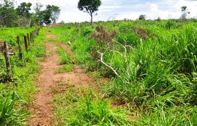 Imagem: A fazenda e está localizado em RO à venda por R$6.300.000