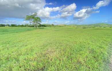Imagem: A fazenda está localizado em Pedra do Descanso, Feira de Santana