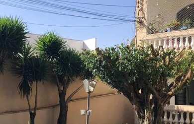 Imagem 2: Apartamento térreo para Locação - Avenida Portugal