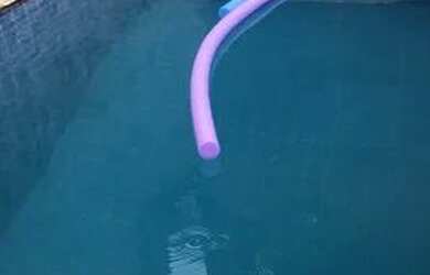 Imagem: A casa em condomínio possui 2 Dormitórios, 1 Banheiro, 2 Vagas