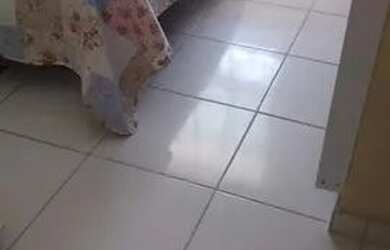 Imagem 10: Casa na praia com piscina