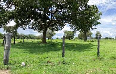 Imagem: A fazenda possui 333m² de Área e está localizado em Monte
