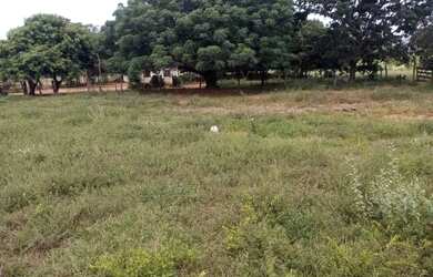 Imagem 6: Fazenda Buritis MG. 345m² de Área