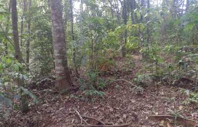 Imagem: O terreno possui 11.026m² de Área e está localizado em Gramado