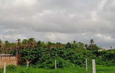 Imagem: O terreno possui 200m² de Área, Imóvel novo e está localizado