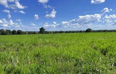 Imagem: A fazenda possui 333m² de Área e está localizado em Santa