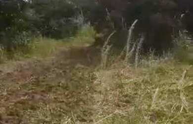 Imagem: A chácara possui 2.000m² de Área e está localizado em Pernambués