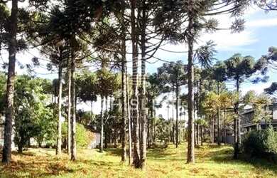 Imagem 5: LINDO TERRENO PLANO NO ASPEN MOUNTAIN