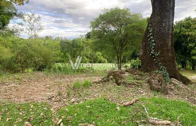 Imagem 9: sítio - Área Rural de Mogi Guaçu - Mogi Guaçu