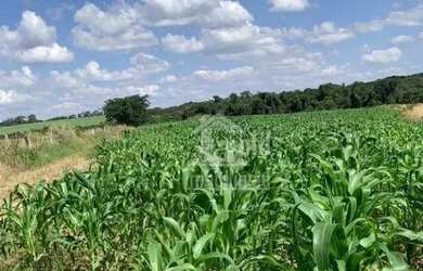 Imagem: A fazenda possui 726.000m² de Área, Piscina, Ar-condicionado