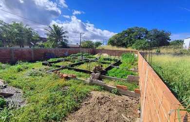 Imagem 5: Terreno a venda em Saquarema