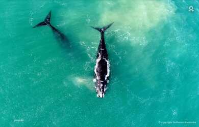 Imagem 16: Casa com amplo pátio em bairro tranquilo Bairro Nova Brasília, Imbituba/SC