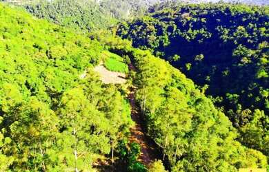 Imagem 5: Sítio / Chácara para Venda em Nova Petrópolis, Arroio Paixão