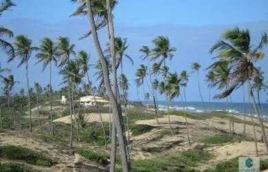 Imagem 11: TERRENO EM CONDE- BA. 77017m² de Área