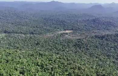 Imagem: A fazenda possui 2.368m² de Área e está localizado em Amajari