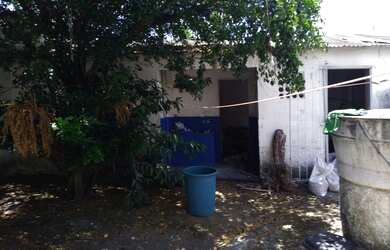 Imagem 7: Homer Captações -1694386