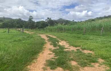 Imagem 3: .Uma fazenda 170 alqueires 52 km de Porto