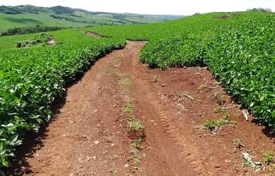 Imagem 6: Fazenda a venda. 57m² de Área