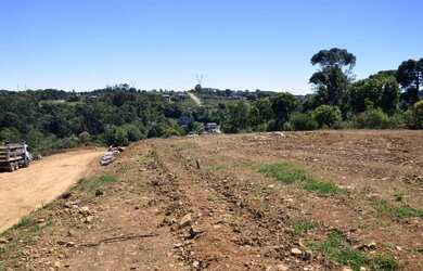 Imagem 6: Terrenos - São Luiz. 315m² de Área