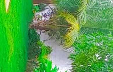 Imagem 11: Casa pra Alugar em jaua disponivel