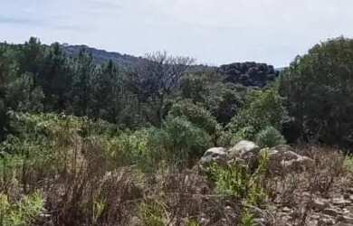 Imagem: O terreno possui 450m² de Área e está localizado em Gramado