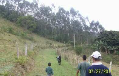 Imagem 2: vendo fazenda 48,7alqueires registados em Miracatu-SP