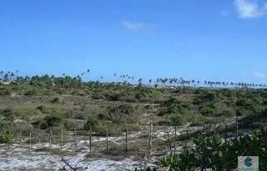 Imagem 3: TERRENO EM CONDE- BA. 77017m² de Área