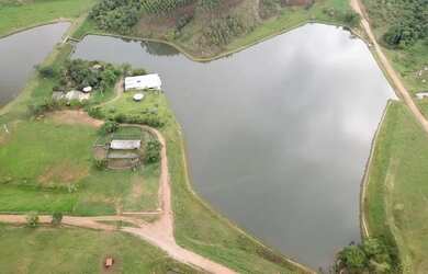 Imagem 5: Oportunidade Fazenda á Venda Município de Bela Vista-GO