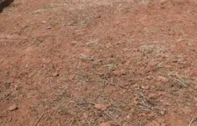 Imagem 5: Lote. 356m² de Área