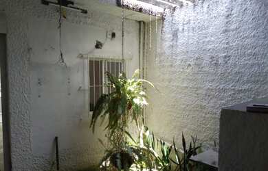 Imagem 3: Homer Captações -1694386