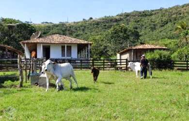 Imagem: A fazenda possui Imóvel novo e está localizado em Machadinho