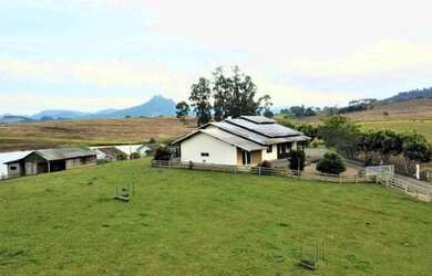 Imagem: A fazenda está localizado em Pedro Gondim, João Pessoa à