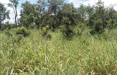 Imagem 5: Fazenda Buritis MG. 345m² de Área