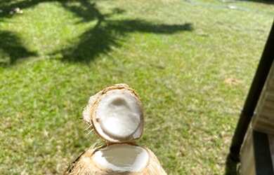 Imagem 4: Venda de casa. Piscina, Churrasqueira, 411m² de Áreae4 Vagas na garagem