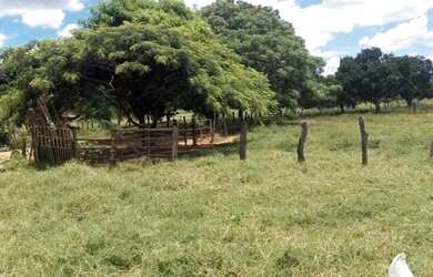Imagem 4: Fazenda Buritis MG. 345m² de Área