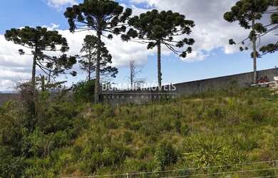 Imagem: O terreno possui 1.010m² de Área e está localizado em Campos