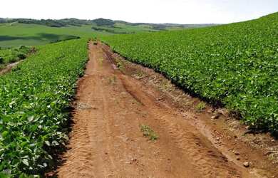 Imagem 5: Fazenda a venda. 57m² de Área