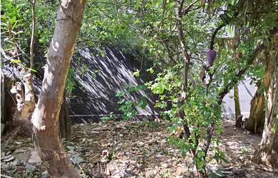 Imagem 9: Casa Frente de Rua 2 Quartos, 5 Vagas, Belo Quintal e Estrutura para Construir...