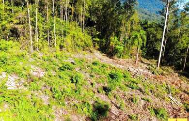 Imagem 10: Sítio / Chácara para Venda em Nova Petrópolis, Arroio Paixão