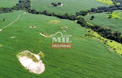 Imagem: A fazenda possui 500m² de Área e está localizado em Ipameri