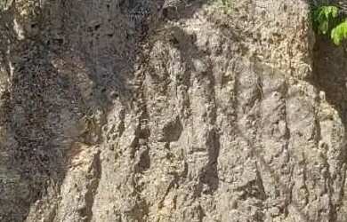 Imagem 4: Terreno à venda, 406 m² por R$ 138.000,00 - Maria Paula - Niterói/RJ