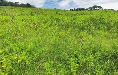 Imagem: O terreno possui 500m² de Área e está localizado em Ibiúna