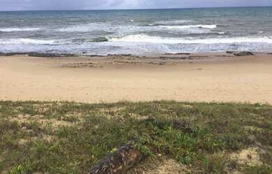 Imagem 1: Venda belissimo lote de terreno frente mar