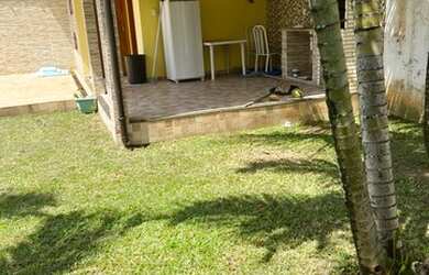 Imagem 5: Venda de casa. Piscina, Churrasqueira, 411m² de Áreae4 Vagas na garagem