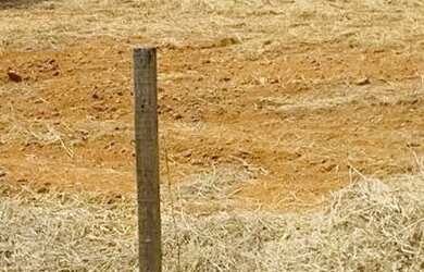 Imagem: A fazenda possui 7000m² de Área e está localizado em Setor