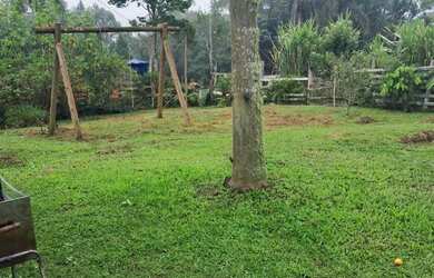 Imagem 16: Super chacrinha 157 mil reais teteinha