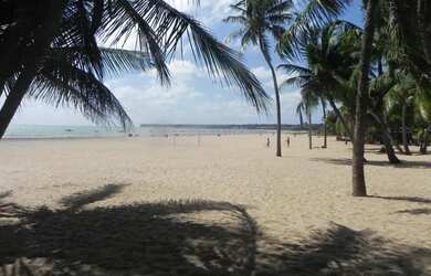 Imagem: O apartamento possui 3 Dormitórios, 2 Banheiros, 85m² de Área