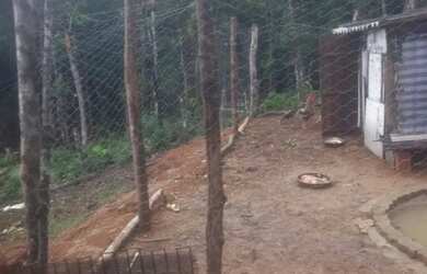 Imagem 16: Chacara prox a rodovia apenas 135 mil reais